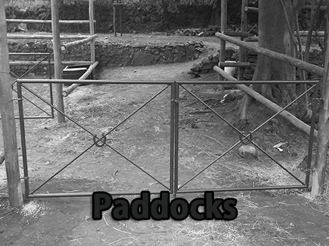 Paddocks fencing