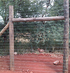 Wire fencing with wooden poles